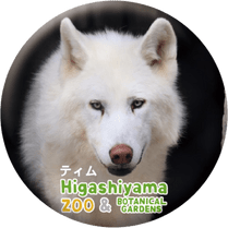 ZOO BADGE-086���ƥ���ʥ����󥪥����ߡ�