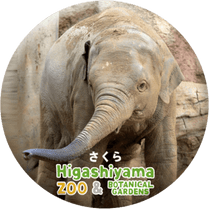 ZOO BADGE-001��������ʥ�����������
