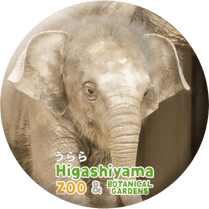 ZOO BADGE-071�������ʥ�����������