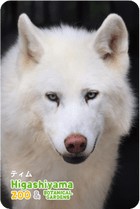 ZOO �ѥͥ�ޥ��ͥå�-086���ƥ���ʥ����󥪥����ߡ�