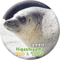 ZOO BADGE-095�����ޤ����ʥ��ޥե����饷��