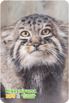 ZOO �ѥͥ�ޥ��ͥå�-091���Υ֡ʥޥ̥�ͥ���