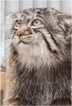 ZOO �ݥ��ȥ�����-192���ҥǡʥޥ̥�ͥ���