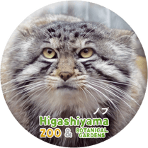 ZOO BADGE-101���Υ֡ʥޥ̥�ͥ���