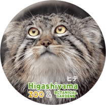 ZOO BADGE-102���ҥǡʥޥ̥�ͥ���