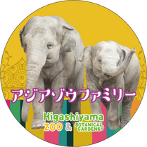 �ޥ����󥰥ơ��ס�����������