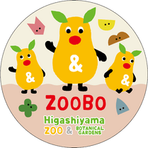 �ޥ����󥰥ơ��ס�������
