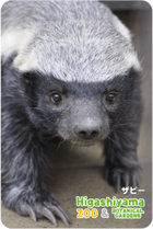 ZOO �ѥͥ�ޥ��ͥå�-010�����ӡ��ʥ顼�ƥ��