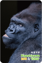 ZOO �ѥͥ�ޥ��ͥå�-094������ޥ��ʥ˥��������ɥ�����