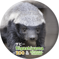 ZOO BADGE-022�����ӡ��ʥ顼�ƥ��