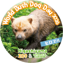 ZOO BADGE��56mm�ˡ��ҥ��ޥ�ʥ�֥��̡ˡ�������֥��̤���2026�С������ס�EC�����