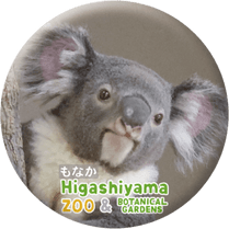ZOO BADGE-105����ʤ��ʥ������