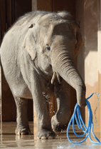 ZOO �ݥ��ȥ�����-200���������ʥ�����������