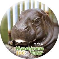 ZOO BADGE-033��������ʥ��ӥȥ��С�