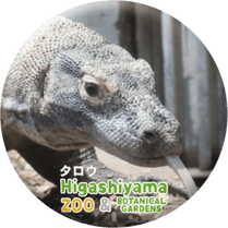 ZOO BADGE-091���������ʥ���ɥ����ȥ�����