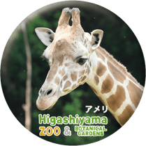 ZOO BADGE-112�������ʥ��ߥᥭ����