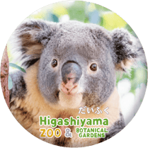 ZOO BADGE-115�������դ��ʥ������