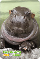 ZOO �ѥͥ�ޥ��ͥå�-073�������ʥ��ӥȥ��С�
