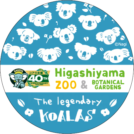 �ޥ����󥰥ơ��ס�Nagi���������40��ǯ�֥�����쥸����ɡ�