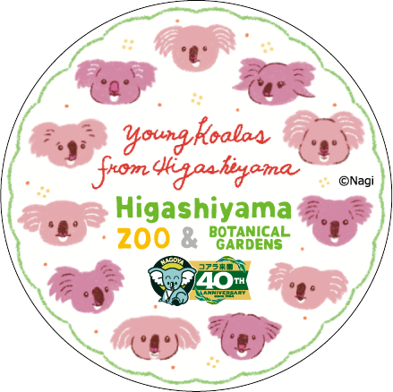 �ޥ����󥰥ơ��ס�Nagi���������40��ǯ�֥�����young��