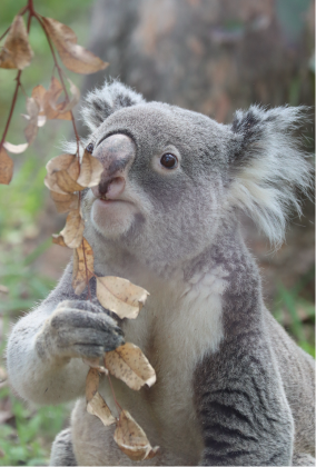 3_000000000112.png?1678209904