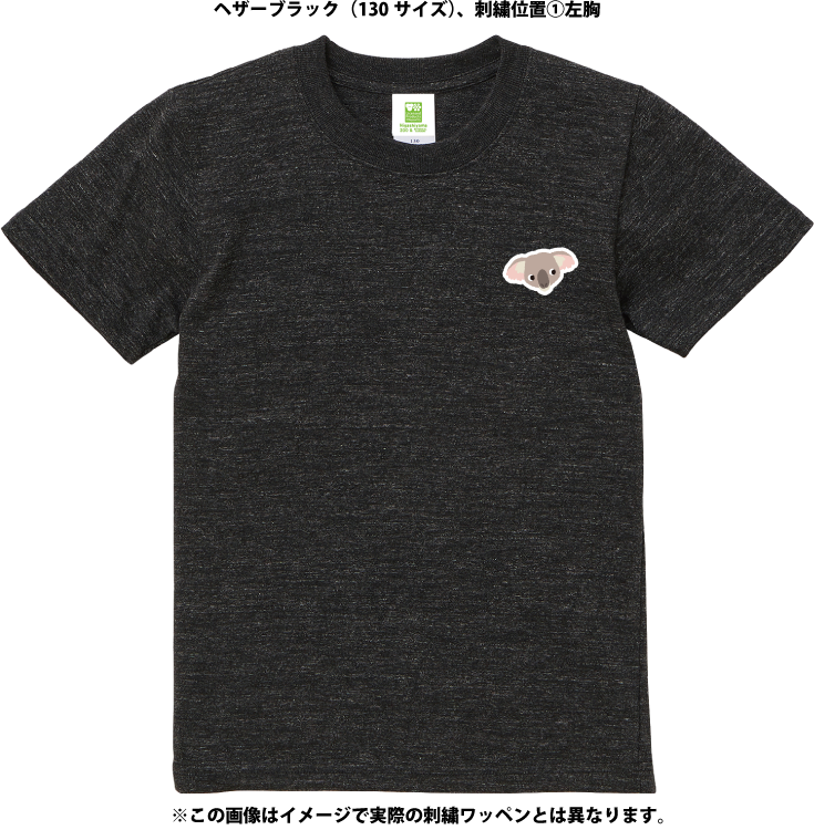 �ڥ��å��ۥ��������ᥤ��T����ġ��������6������/51���顼�ˡڼ����������ʡ�