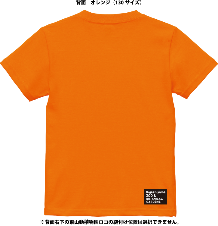 �ڥ��å��ۥ��������ᥤ��T����ġ��������ޥڥ󥮥��6������/51���顼�ˡڼ����������ʡ�