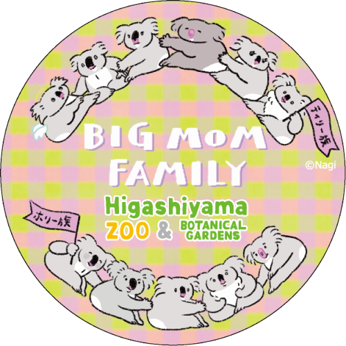 �ޥ����󥰥ơ��ס�Nagi�֥ӥå��ޥޥե��ߥ꡼2025��