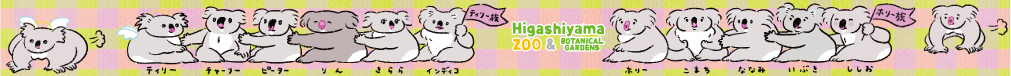 �ޥ����󥰥ơ��ס�Nagi�֥ӥå��ޥޥե��ߥ꡼2025��