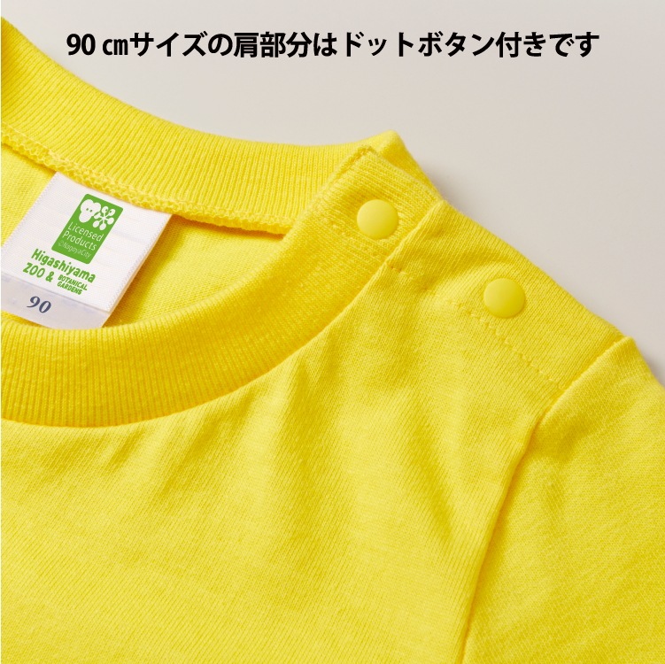 �ڥ��å��ۥ��������ᥤ��T����ġ��ޥ̥�ͥ���6������/51���顼�ˡڼ����������ʡ�