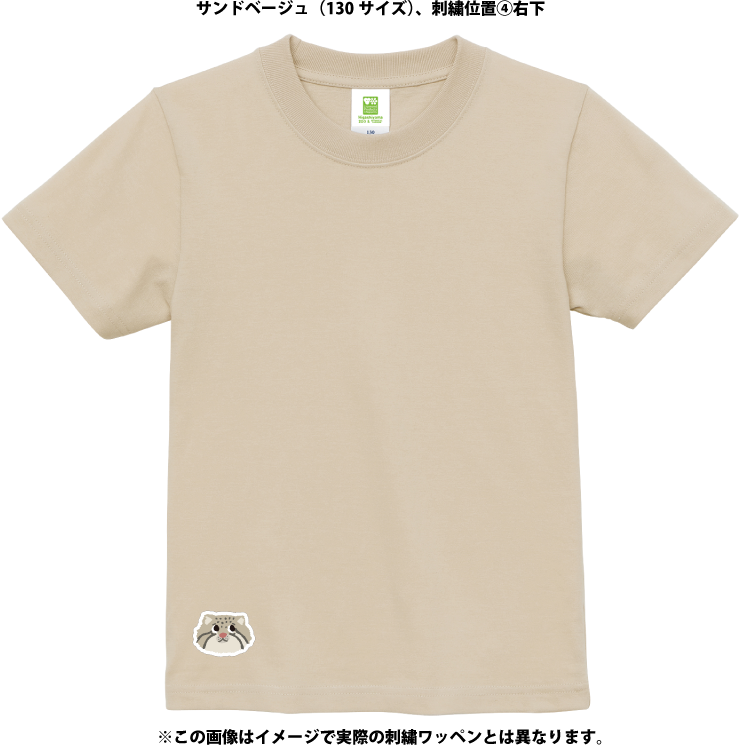 �ڥ��å��ۥ��������ᥤ��T����ġ��ޥ̥�ͥ���6������/51���顼�ˡڼ����������ʡ�