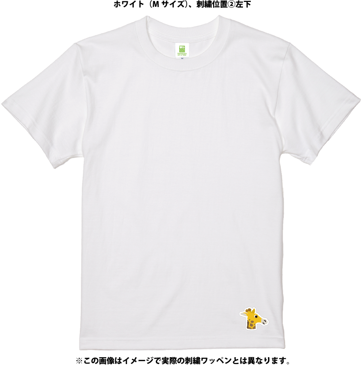 �ڥ�����ȡۥ��������ᥤ��T����ġ����ߥᥭ����4������/54���顼�ˡڼ����������ʡ�