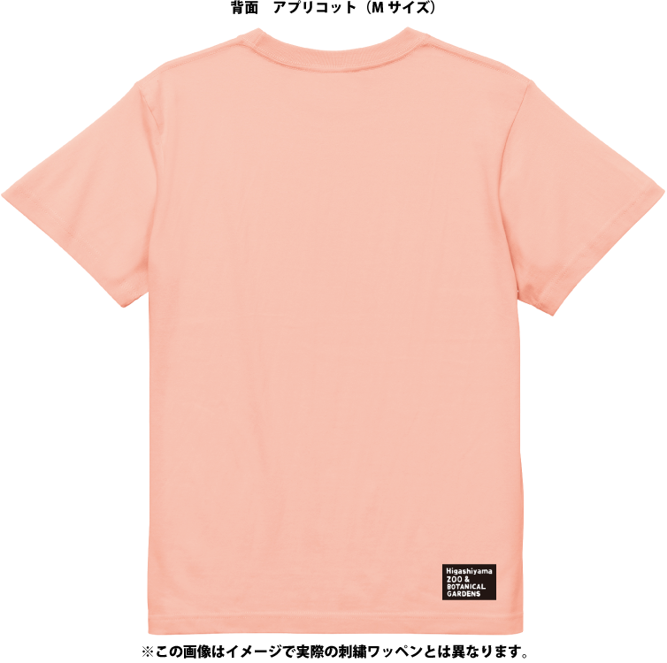 �ڥ�����ȡۥ��������ᥤ��T����ġ��ޥ졼���ޡ�4������/54���顼�ˡڼ����������ʡ�