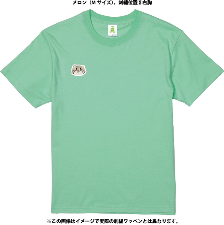 �ڥ�����ȡۥ��������ᥤ��T����ġ��ޥ̥�ͥ���4������/54���顼�ˡڼ����������ʡ�