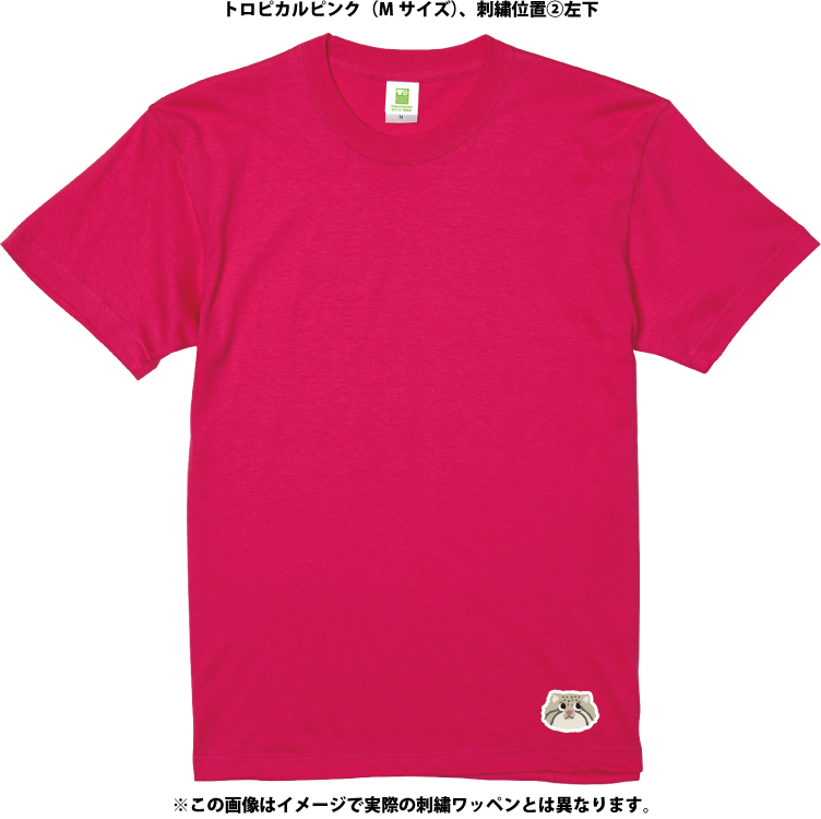 �ڥ�����ȡۥ��������ᥤ��T����ġ��ޥ̥�ͥ���4������/54���顼�ˡڼ����������ʡ�