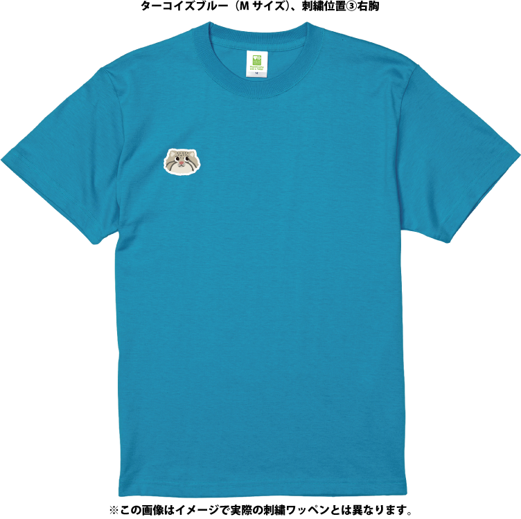 �ڥ�����ȡۥ��������ᥤ��T����ġ��ޥ̥�ͥ���4������/54���顼�ˡڼ����������ʡ�