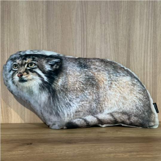 ZOO クッション-002 マヌルネコ（ハニー） | 東山動植物園公式