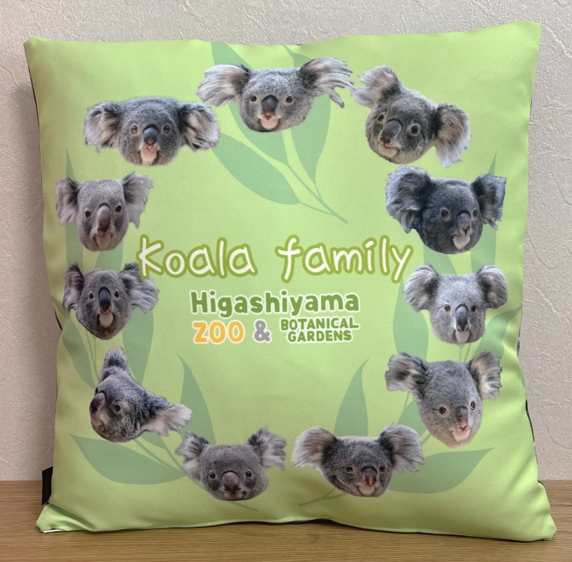 ZOO å-003եߥ꡼2022