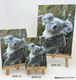 ZOO �����Х�-015���ե֥��ʥۥå��祯���ޡ�