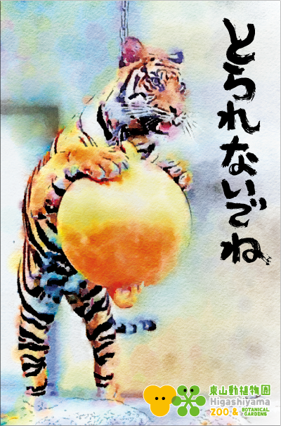 �ݤ��ޡ����ޥȥ�ȥ�֤Ȥ��ʤ��褦�ˡ�