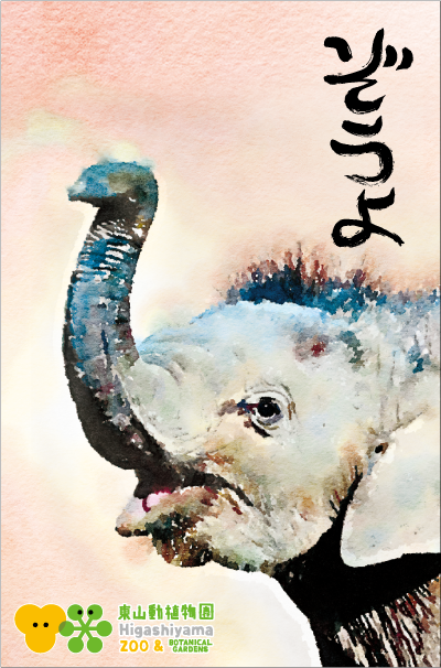 �ݤ��ޡ������������֤������