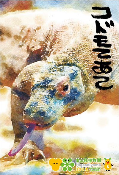 �ݤ��ޡ�����ɥ����ȥ����֥��ɥ�Ƥ��ơ�