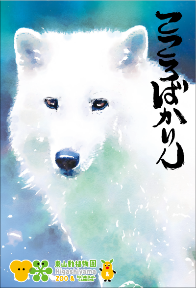 �ݤ��ޡ������󥪥����ߡ֤������Ф�����