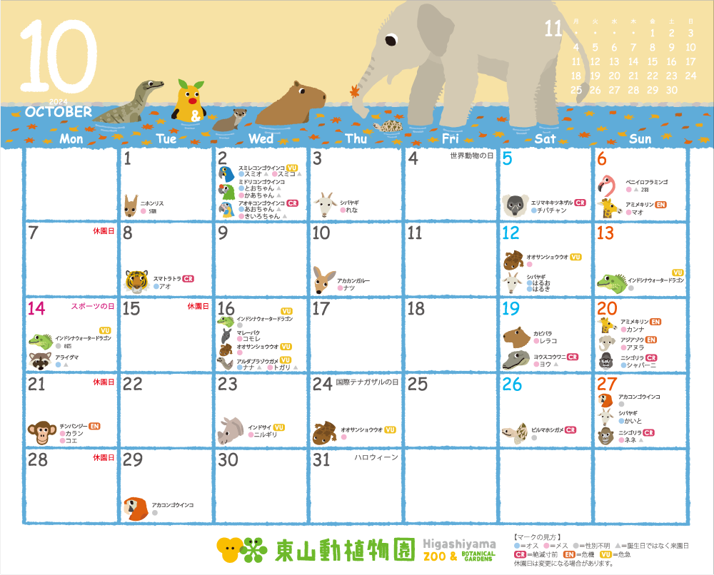 �컳ư��ʪ�� 2025ǯ�������� ưʪ�������������Ǵ����郎ʬ���롪�֥��˥ޡ����꡼���������ס���奿���ס�