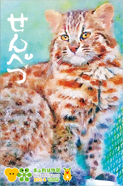 �ݤ��ޡ��ĥ��ޥ�ޥͥ��֤���٤ġ�