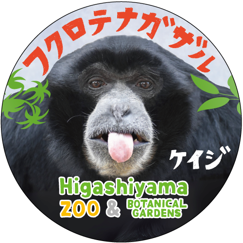 �ޥ����󥰥ơ��ס��ե����ƥʥ�����