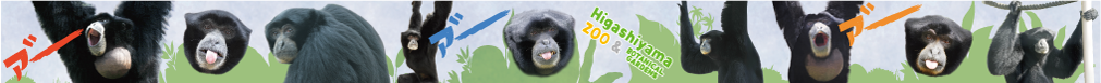 �ޥ����󥰥ơ��ס��ե����ƥʥ�����