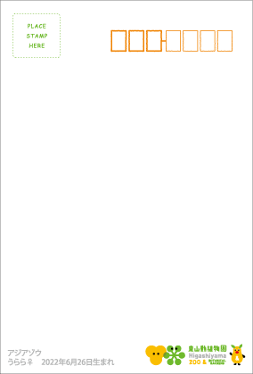ZOO �ݥ��ȥ�����-162�������ʥ�����������