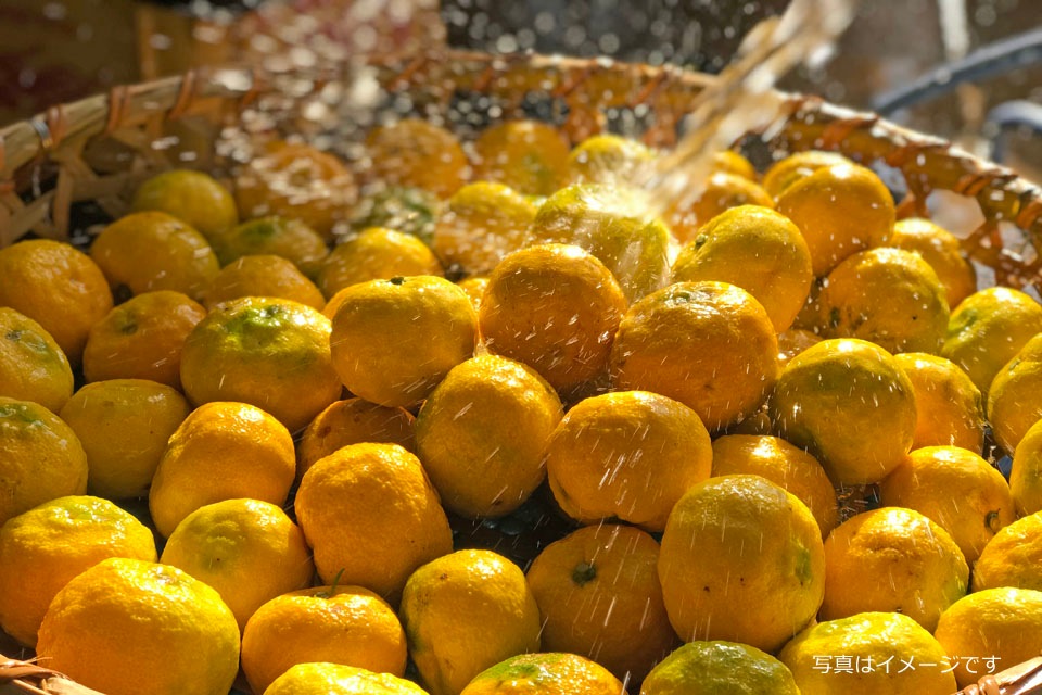 【加賀屋オリジナル】柚子みつ 