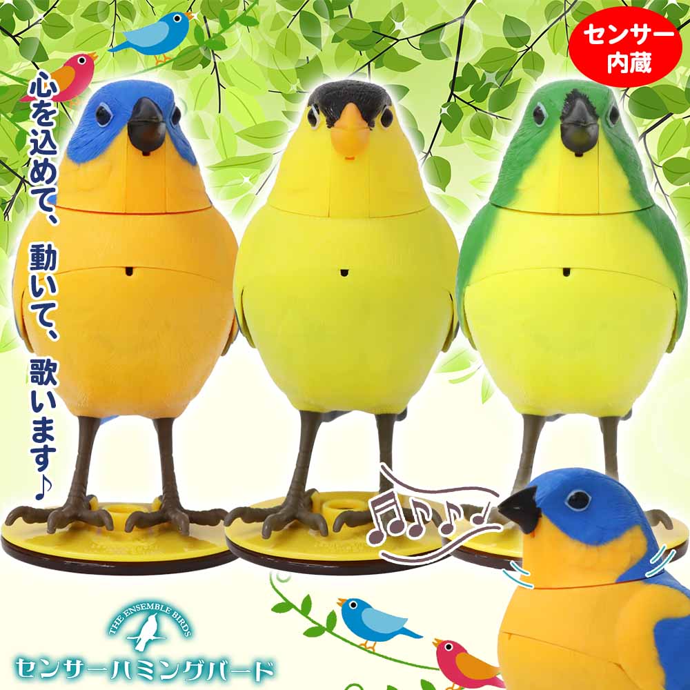 Epiphone Limited Hummingbird PRO BB 税込販売価格 ￥35,800